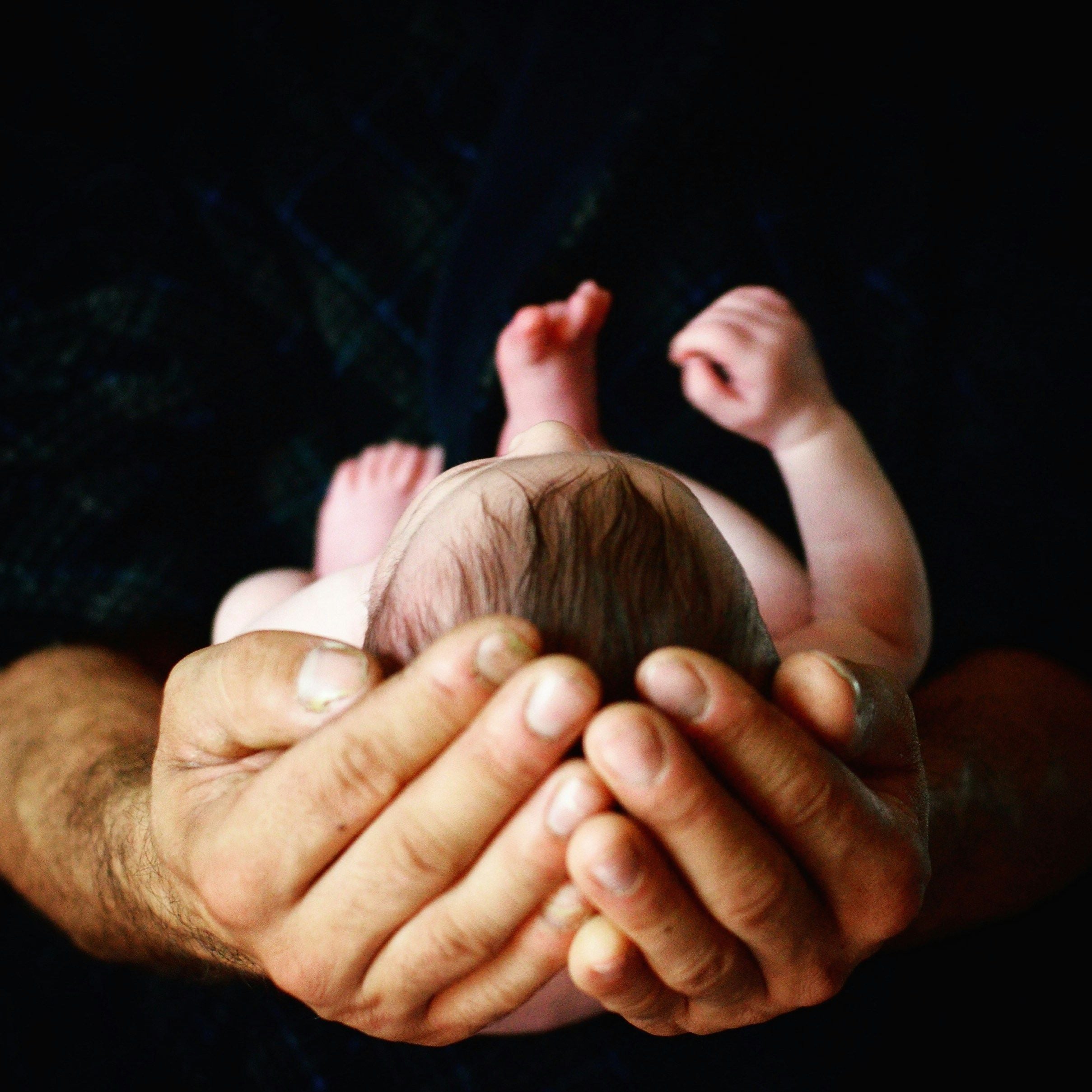 En Ventre Sa Mère: The Legal Rights of the Unborn Child for Wills and Estates in NSW En Ventre Sa Mère: The Legal Rights of the Unborn Child for Wills and Estates in NSW